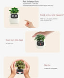 Ivy Smart Planter AI Powered Plant Care