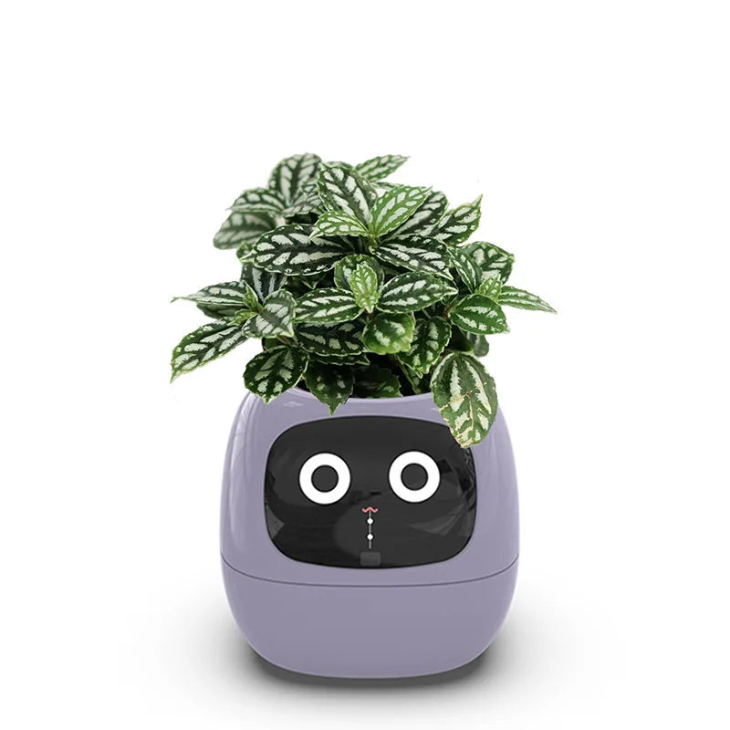 Ivy Smart Planter AI Powered Plant Care