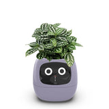 Ivy Smart Planter AI Powered Plant Care