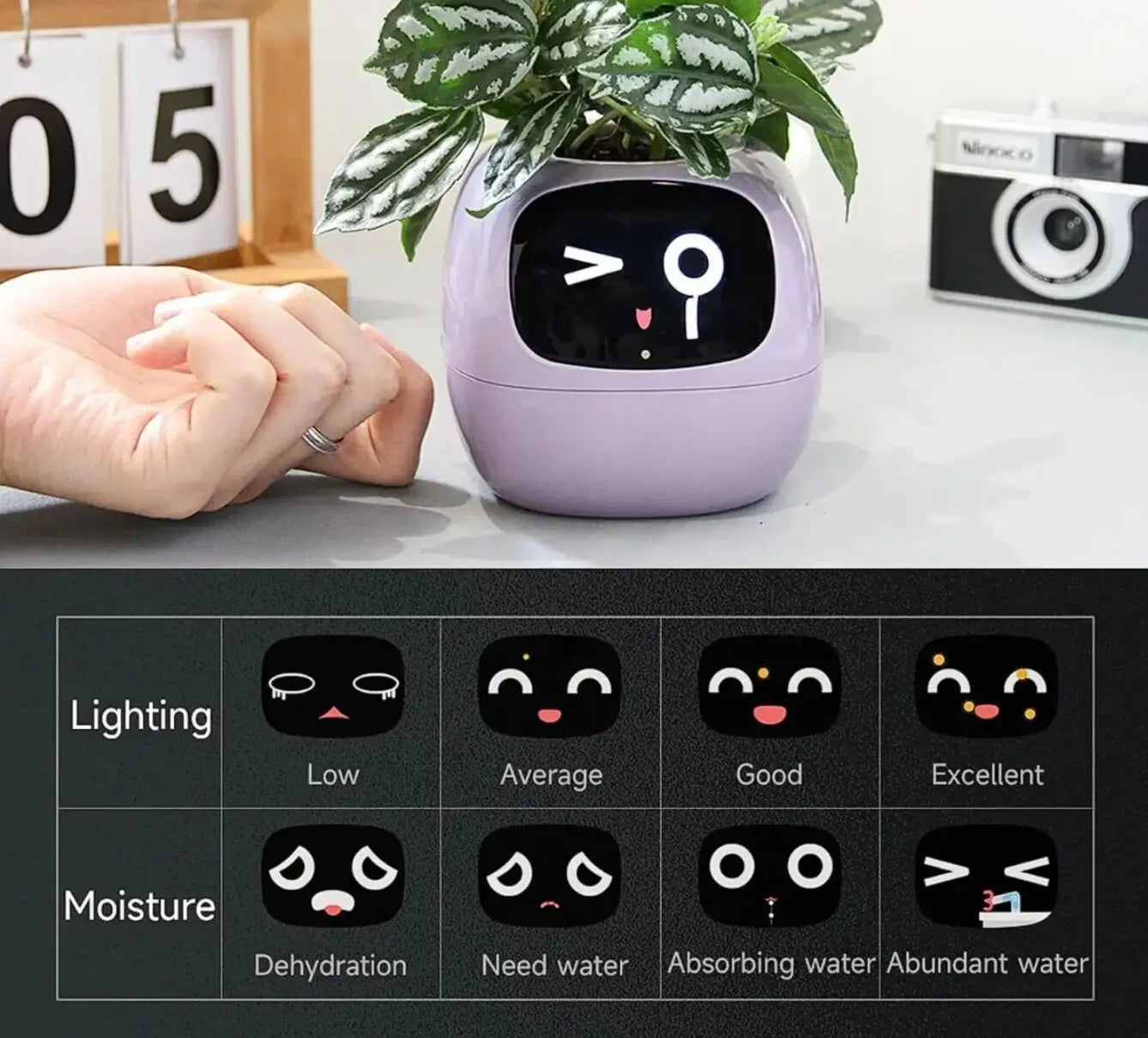 Ivy Smart Planter AI Powered Plant Care