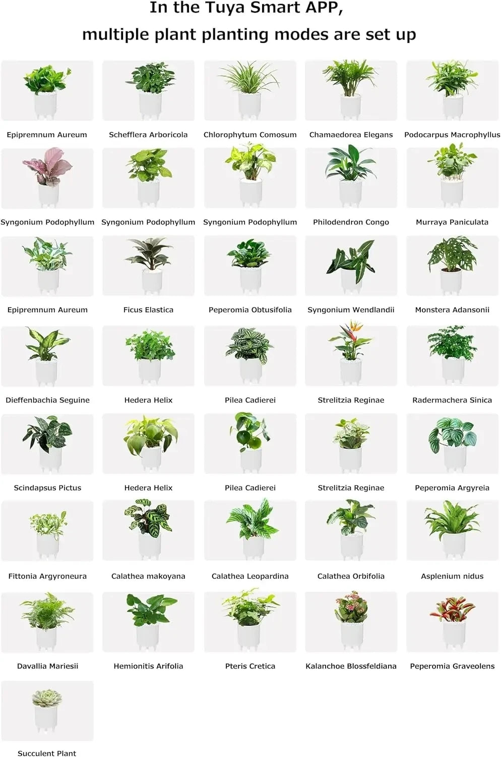 Ivy Smart Planter AI Powered Plant Care