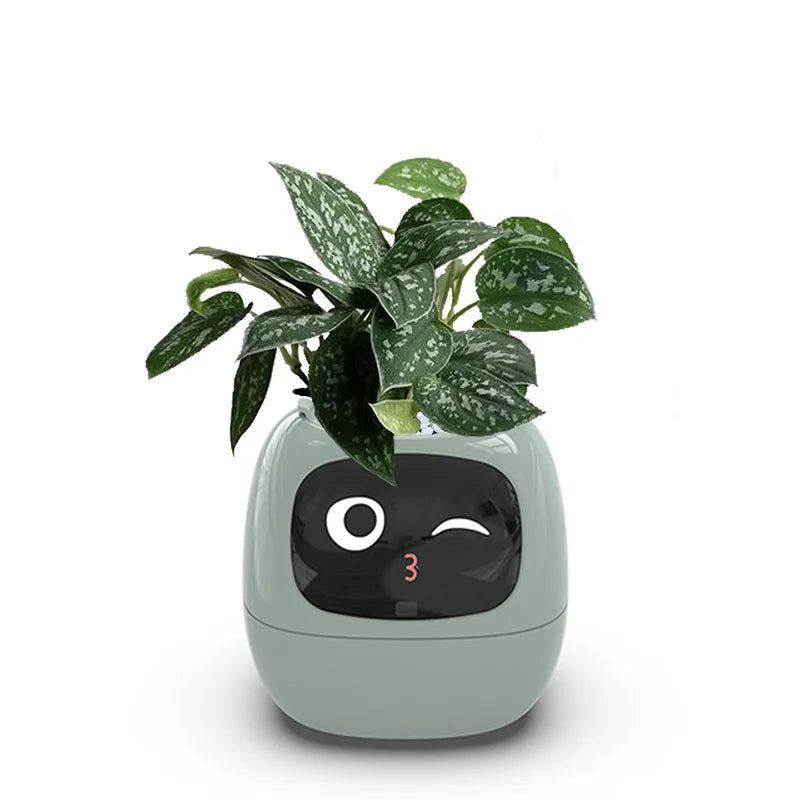 Ivy Smart Planter AI Powered Plant Care
