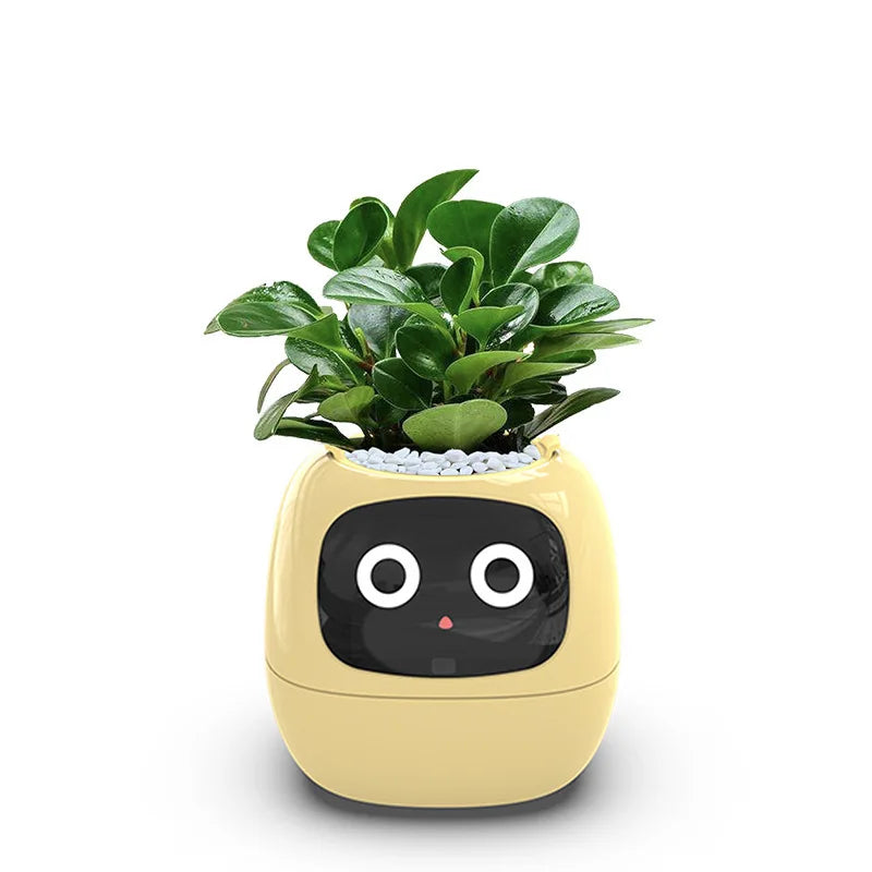 Ivy Smart Planter AI Powered Plant Care