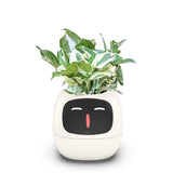 Ivy Smart Planter AI Powered Plant Care
