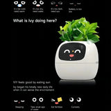 Ivy Smart Planter AI Powered Plant Care
