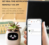 Ivy Smart Planter AI Powered Plant Care