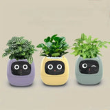 Ivy Smart Planter AI Powered Plant Care