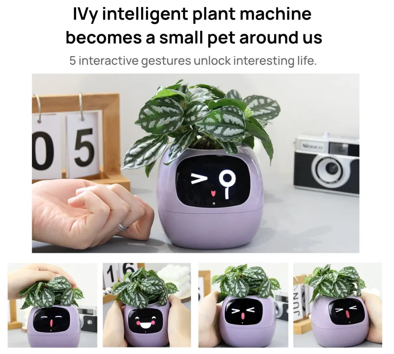 Ivy Smart Planter AI Powered Plant Care