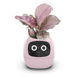 Ivy Smart Planter AI Powered Plant Care