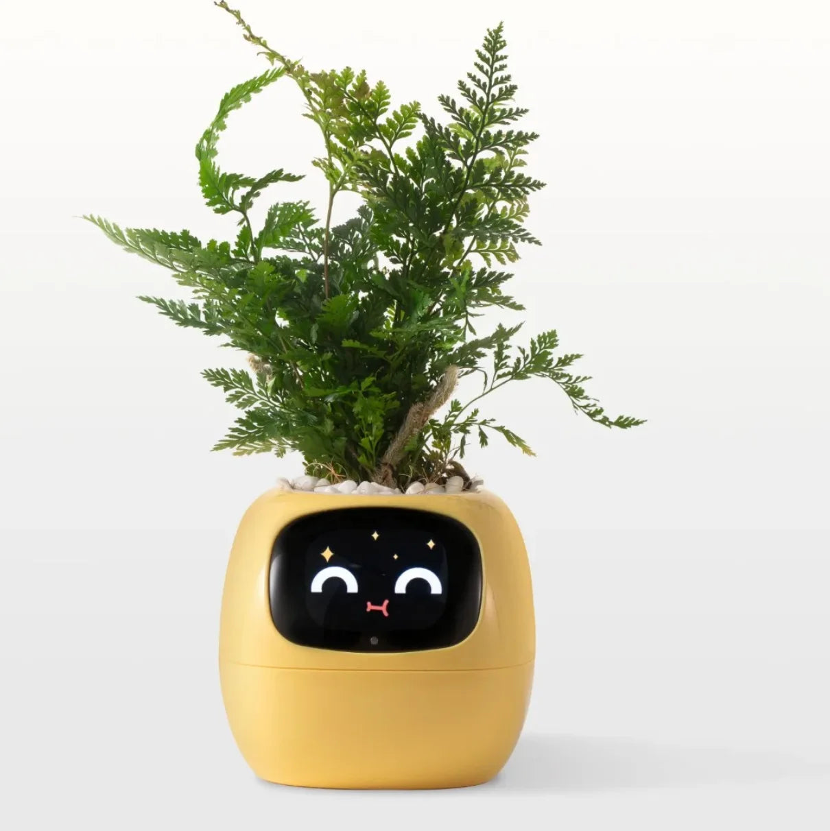 Ivy Smart Planter AI Powered Plant Care